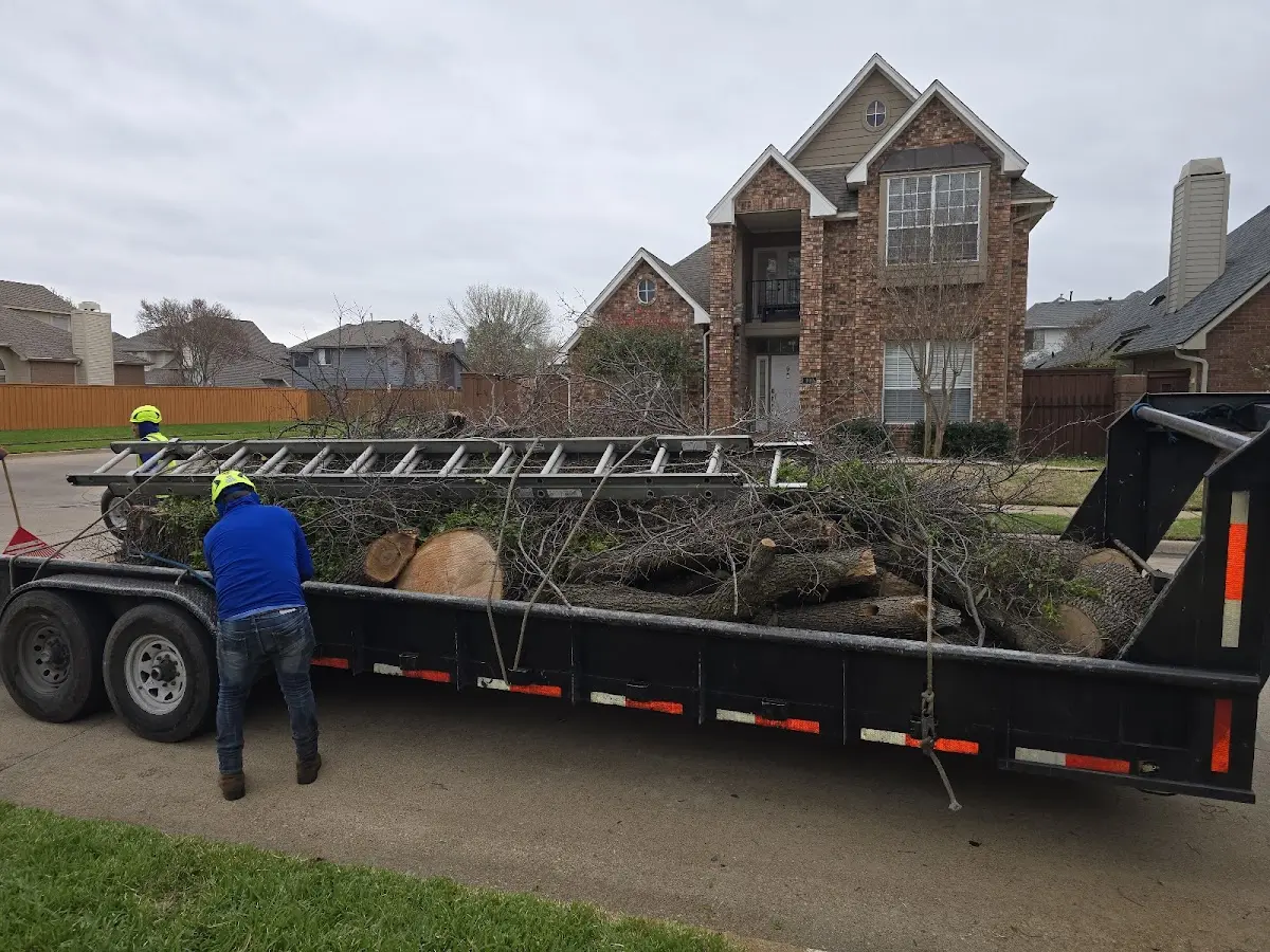 Expert Lot Clearing with proper safety equipment in Roy